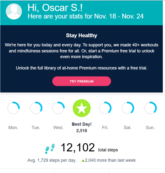 Weekly Progress Walking Stats  Nov 18 - Nov 24