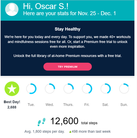 Weekly Progress Walking Stats  Nov 25 - Dec 1