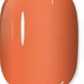 Cute Pastel Colors Quick-Dry Long Lasting Nail Polishes 5ML Bottles