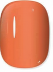 Cute Pastel Colors Quick-Dry Long Lasting Nail Polishes 5ML Bottles